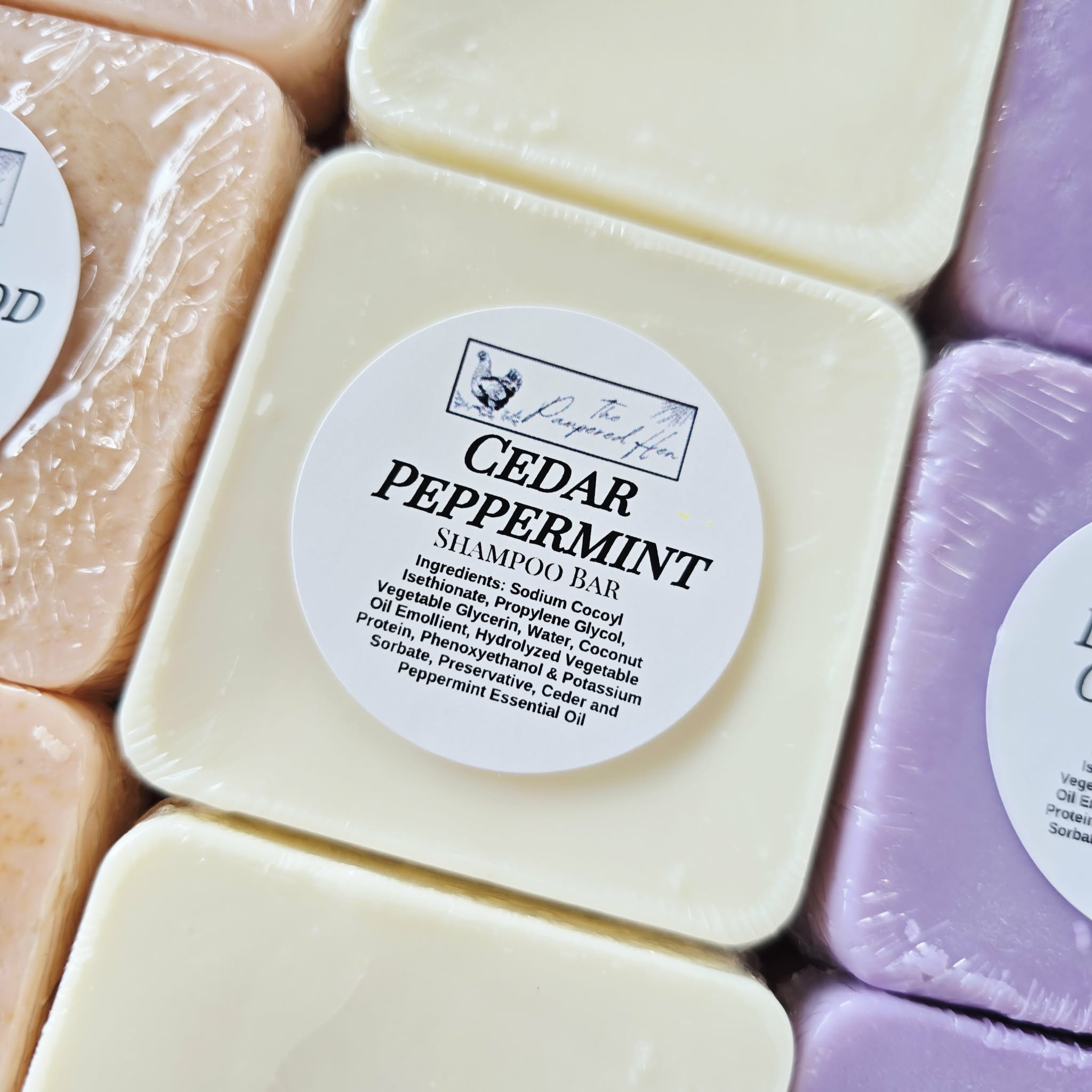 Shampoo Bars